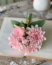 Load image into Gallery viewer, Chrysanthemum Bundle
